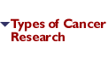 Types of Cancer Research