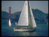 Sailboat in front of bridge