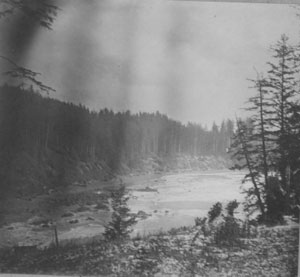 View of the Olympic National Park. From the collection of the National Park Service, permission of Doreen Taylor.