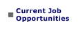Current Job Opportunities