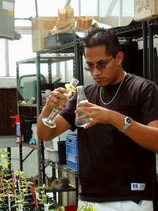 Agriculture Summer Science (Image 1)