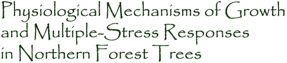 Physiological Mechanisms of Growth and Multiple-Stress Reponses in Norhtern Forest Trees