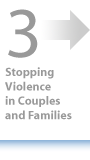 Stopping Violence in Couples and Families