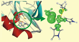 Green Copper Active Sites in Electron Transfer (ET) Proteins<BR>(Image 2 of 2)