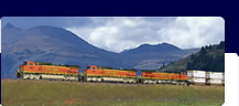 Freight train traveling through wildflower field with
blue Mountains behind.