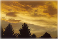 [Photograph]: Fire Weather - a scenic picture of cloud formations above a tree line.
