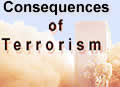 Consequences of Terrorism