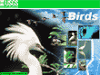 Wallpaper of BIRDS. Image shows a collage of birds. Background: a snowy egret. Foreground: migrating birds carrying photos of birds. Left: a wood duck standing on a wood branch. Middle One: a scientist holding a western burrowing owl. Middle Two: snowy egret. Middle Three: a bald eagle sits on the branch of a tree. Middle Four: a egret wading in water. Right: two Puerto Rican parrots.
