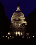 Image of the Capitol at night