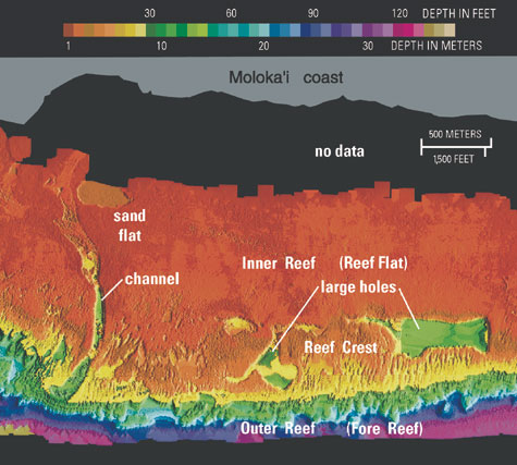 map of coral reef off the island of Moloka'i