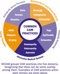 A chart illustrating 5 Most Common CAM Practices