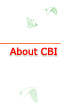 About CBI