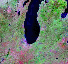 Landsat Orthorectified TM Mosaics Image