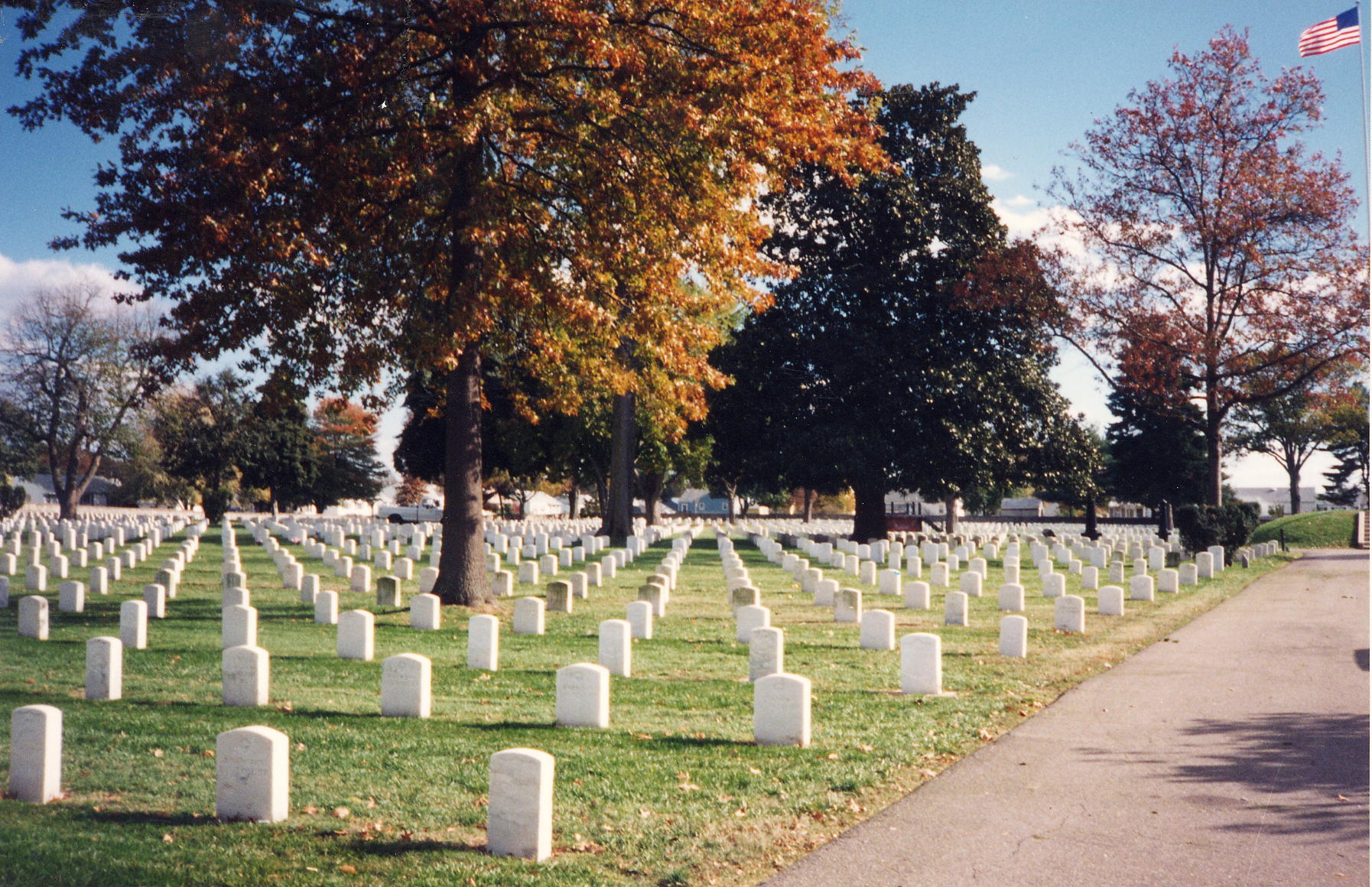 Photo of vertical rows of upright markers with several large trees sprinkled throughout the grounds.