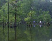canoeing at Choctaw National Wildlife Refuge in Alabama