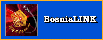 BosniaLINK Banner