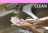 Clean: Hands being washed at stainless steel sink under running water.