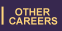 Other Careers