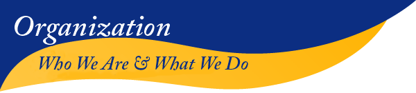 Organization: Who we are and what we do