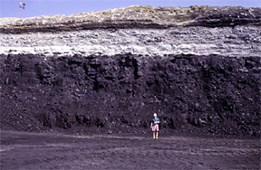 Fluvial channel sandstone above the Wyodak-Anderson coal zone.