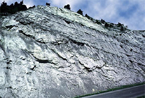 Vertically stacked fluvial channel sandstone deposits interbedded withfloodplain and crevasse splay deposits.