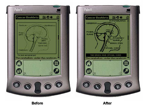 An image showing before and after shots of a graphic once it had been improved for a PDA screen.