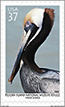Image of pelican on U.S. stamp.