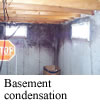Picture of basement condensation