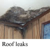 Picture of roof leaks