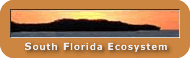 South Florida Ecosystem home page