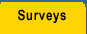 Surveys