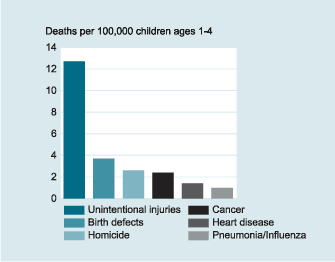 Indicator Health6.A Death Rates among children ages 1 to 4 by cause of death, 1998