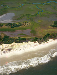 Sandy ocean beaches are naturally unstable as waves, currents, and winds constantly shift the landscape.