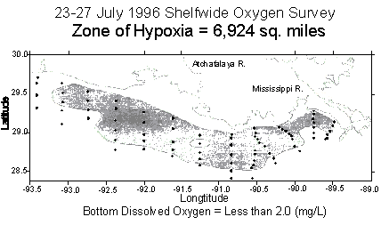 Gulf of Mexico Hypoxia Zone, July 1996
