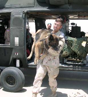K-9s receive top care in deployed environment