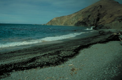 Photograph of a beach.