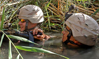 Spc. Nicholas Gathings, left, and Spc. Alexander Parcover, 2nd Battalion, 14th Infantry Regiment, search for additional weapons after they caught eight insurgents in the same canal. U.S. Army photo by Pfc. Matthew McLaughlin
