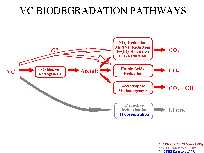 VC Biodegradation pathways