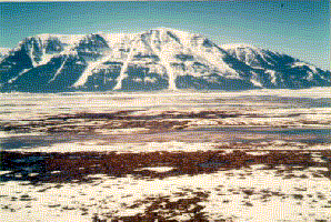 scene near the Red Rock Lakes National Wildlife Refuge in Montana