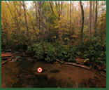 ipix Appalachian Ecosystems