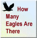 How Many Eagles Are There?