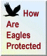 How Are Eagles Protected?