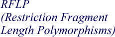 Pronounciation of 
restriction fragment length polymorphism (RFLP)