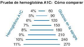 Probar de hemoglobina A-1-c