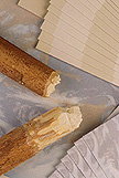 Kenaf stalks and paper made from kenaf fiber