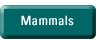 Mammal List