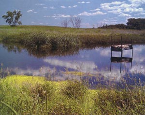 Photograph of Pond