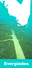 Photo of a river from Everglades montaged with a map of Everglades on the top. Link to the Everglades page.