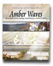 Amber Waves November 2004
