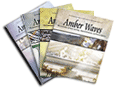 Amber Waves Magazine Subscription Product